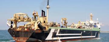 تهريب كميات هائلة من الأحياء البحرية اليمنية إلى الإمارات