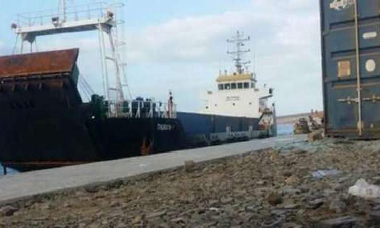 سفن إماراتية تواصل نهب الأسماك اليمنية
