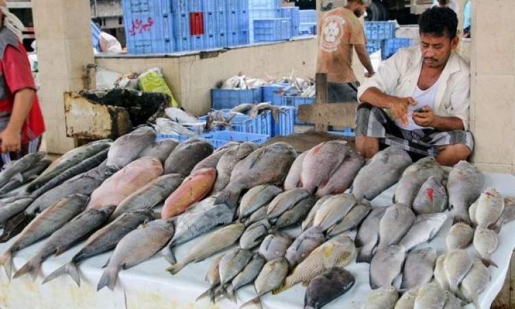 منع تصدير الأسماك..  حرب معلنة على شريحة الصيادين فيما مشكلة شح المعروض وارتفاع الاسعار قائمة